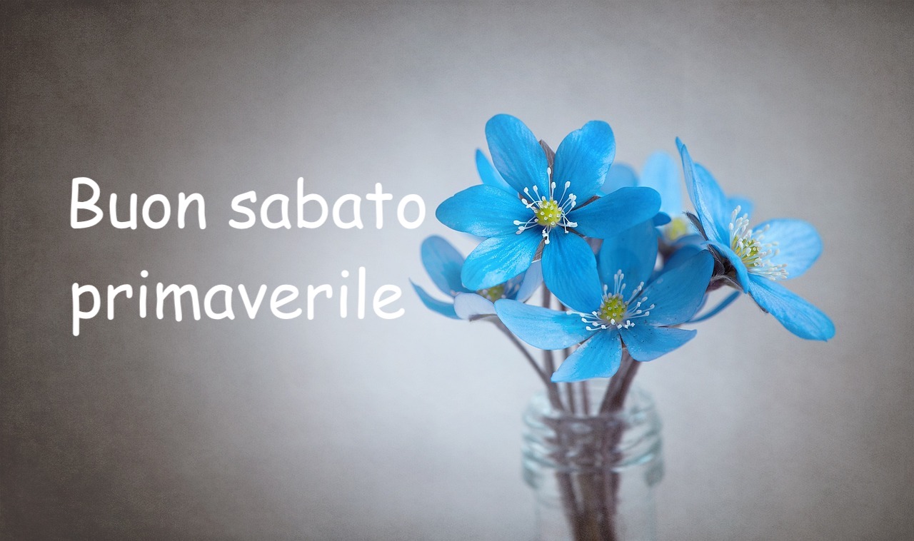 immagine fiore blu con frase buon sabato primaverile 